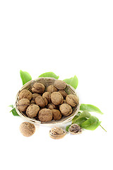 Image showing walnuts with walnut leaves in a basket