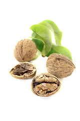 Image showing Walnut with walnut leaves