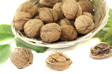 Image showing fresh walnuts with walnut leaves in a basket