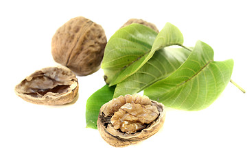 Image showing crunchy walnuts with walnut leaves