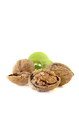 Image showing fresh walnuts with walnut leaves