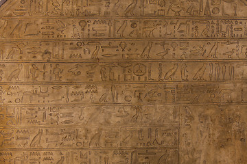 Image showing Hieroglyph