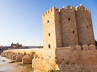 Image showing Roman Bridge of Cordoba