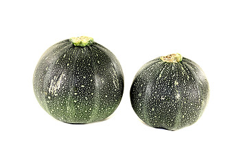 Image showing fresh rotund zucchini