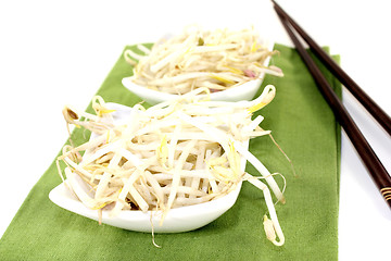 Image showing mung bean sprouts