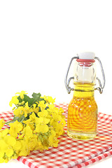 Image showing fresh Rapeseed oil