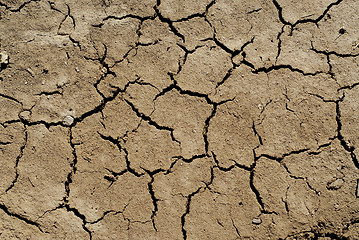 Image showing Dry soil background