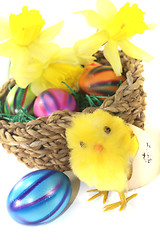 Image showing Easter Basket with chick and yellow daffodils