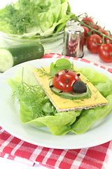Image showing Crispbread with cheese, lettuce and ladybug