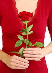 Image showing Woman rose
