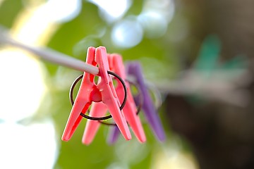 Image showing Clothes Pegs