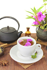 Image showing Chinese natural medicine with a cup of tea and anise