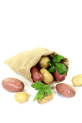 Image showing colorful potatoes in a sack