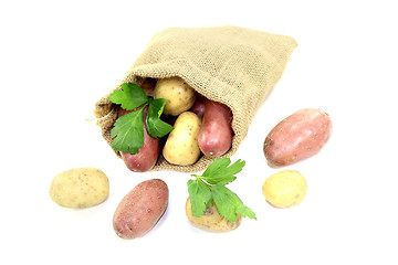 Image showing colorful potatoes in jute sack