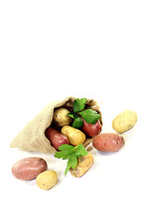 Image showing potatoes in jute sack