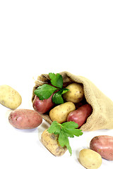 Image showing yellow and red potatoes in the bag