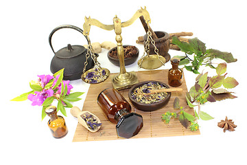 Image showing Chinese medicine with plants and mortar