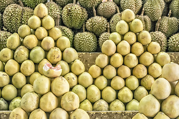Image showing Philippines Pomelo and Durian