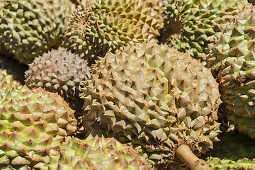 Image showing Philippines Durian