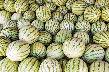 Image showing Watermelon Sale