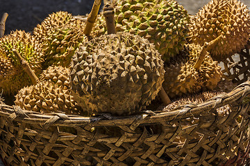 Image showing Philippines Durian