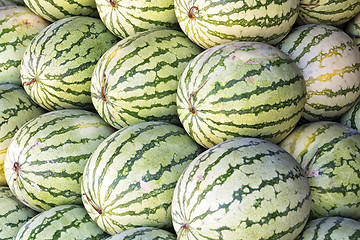 Image showing Watermelon Sale
