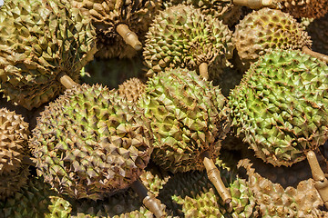 Image showing Philippines Durian
