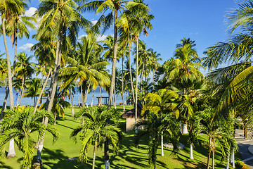 Image showing Philippines Garden Resort