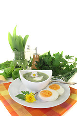 Image showing green herb soup with eggs and a dollop of cream