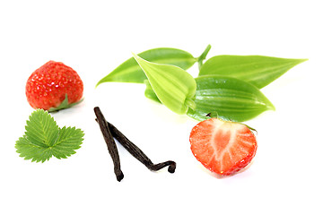 Image showing Vanilla leaves with strawberries