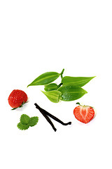 Image showing green Vanilla leaves with strawberries