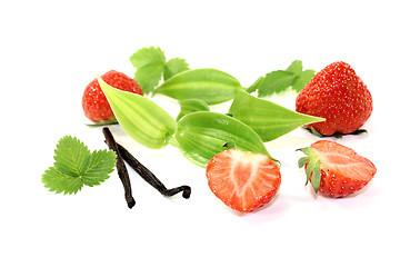 Image showing green Vanilla leaves with red strawberries