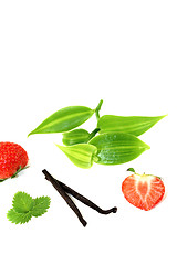 Image showing Vanilla leaves with red strawberries