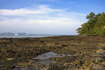 Image showing Near Charlie Beach.