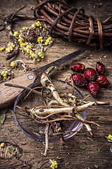 Image showing herbal medicine