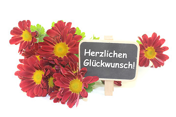 Image showing red Chrysanthemums with board