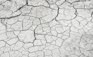 Image showing cracked mud