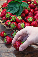 Image showing summer harvest of strawberries