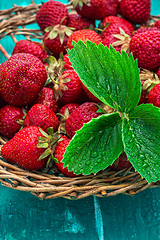 Image showing summer harvest of strawberries