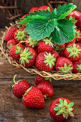 Image showing summer harvest of strawberries