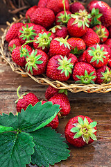 Image showing summer harvest of strawberries