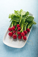 Image showing Red radish