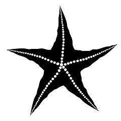 Image showing Silhouette  of Starfish