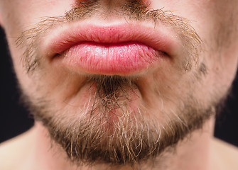 Image showing Hot male lips with untrimmed beard at closeup
