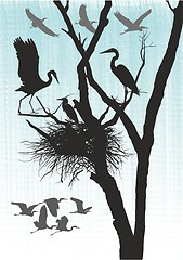 Image showing animals, background, birds, black, design, drawing, fall, flight, flock, fly, formation, graphic, group, herons, illustration, isolated, nature, outdoors, poultry, scenic, season, silhouettes, vector,