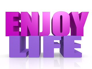 Image showing Enjoy life