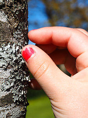 Image showing Little girl with cracked pink nail paint touching lichen on tree