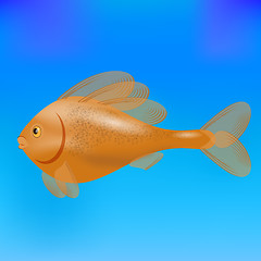 Image showing Sea Fish