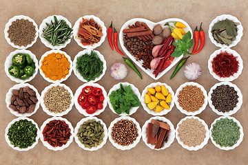 Image showing Herb and Spice Sampler