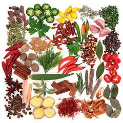 Image showing Herb and Spice Sampler